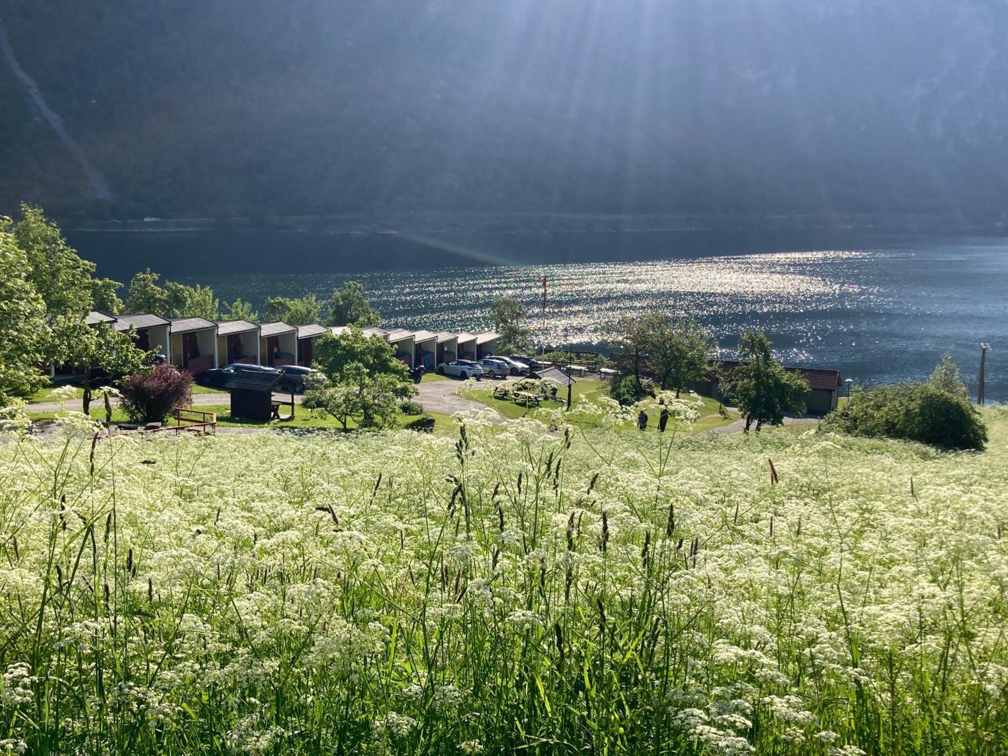 Fjorden Campinghytter يايْرانغير المظهر الخارجي الصورة